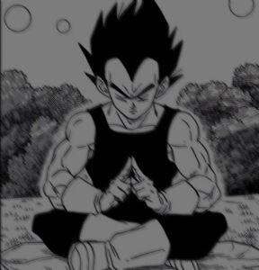 Vegeta PFP Black And White