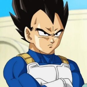 Vegeta PFP Cute