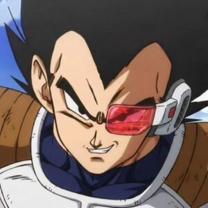 Vegeta PFP DBZ