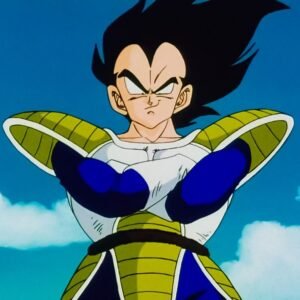 Vegeta PFP DBZ