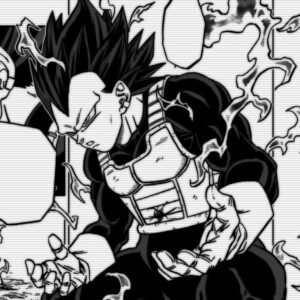 Vegeta PFP Manga