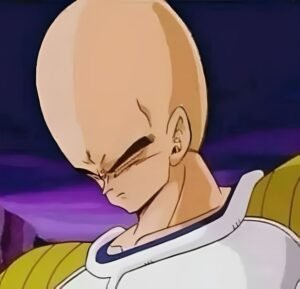 Vegeta PFP Meme