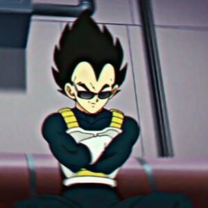 Vegeta PFP Pinterest