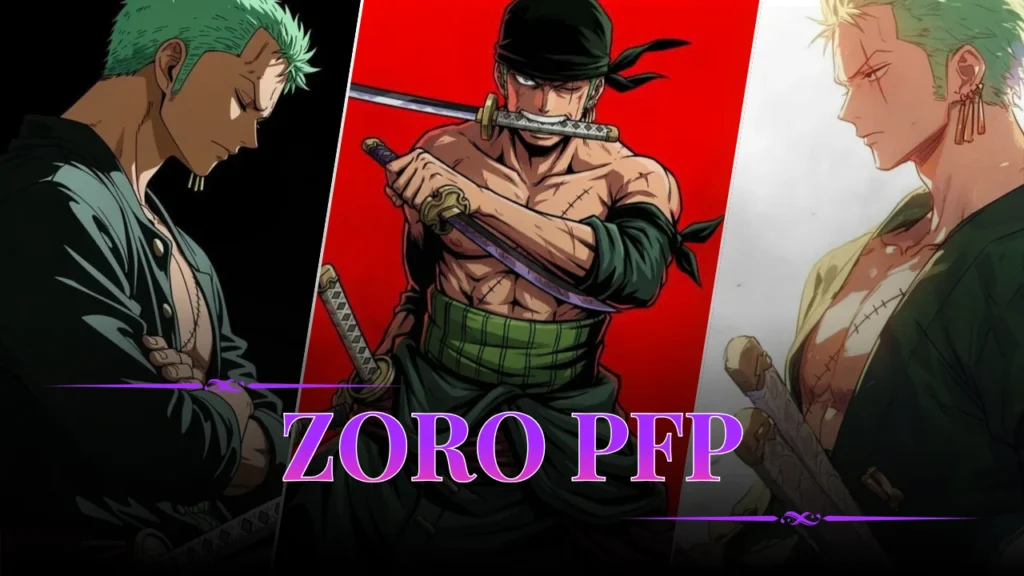 Zoro PFP