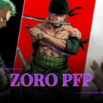 Zoro PFP