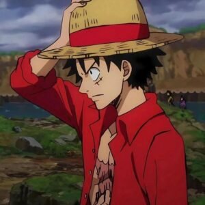 Cool One Piece PFP 3