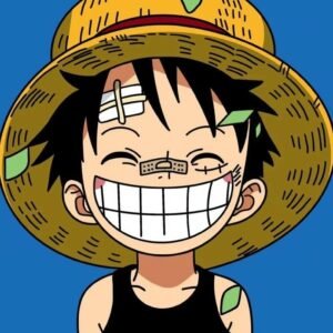 Funny One Piece PFP 2