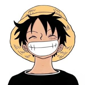 Funny One Piece PFP 3