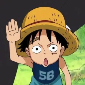 One Piece PFP Luffy 1
