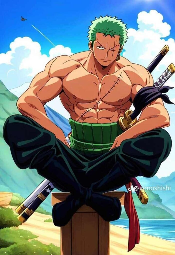 Zoro PFP Boy 2