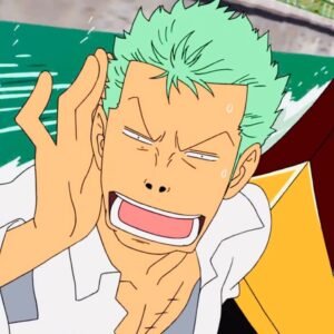 Zoro PFP Funny 2