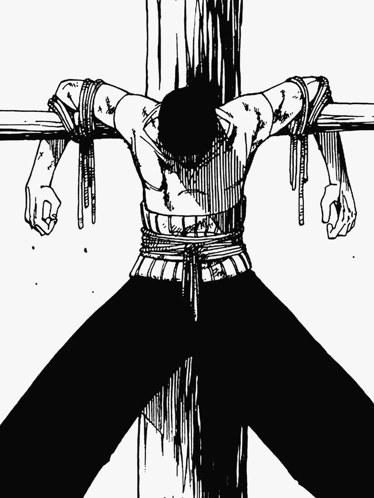 Zoro PFP Manga 2