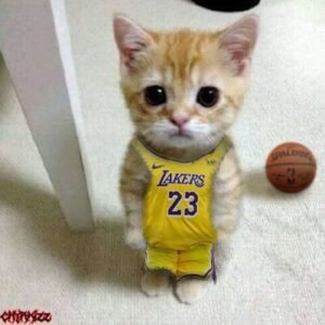 Basketball PFP Funny 1