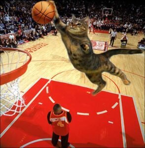 Basketball PFP Funny 2