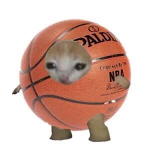 Basketball PFP Funny 3